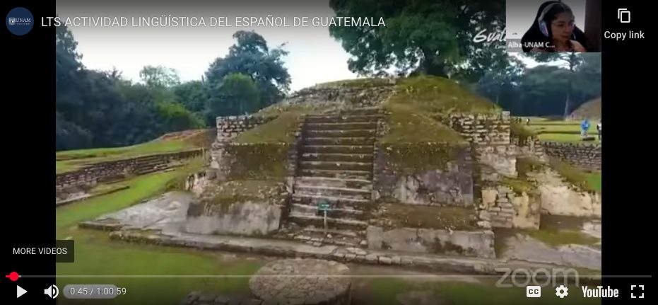 LTS ACTIVIDAD LINGÜÍSTICA DEL ESPAÑOL DE GUATEMALA