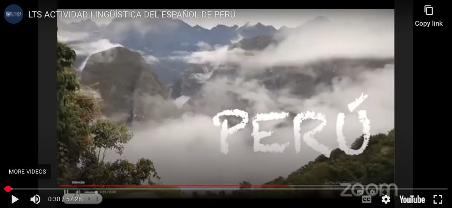 LTS ACTIVIDAD LINGÜÍSTICA DEL ESPAÑOL DE PERÚ